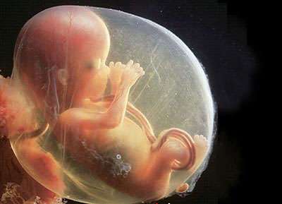胎儿如何做亲子鉴定
