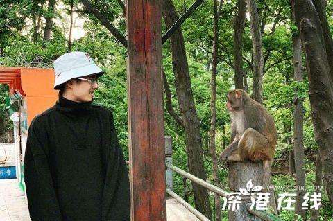 刘昊然和猴子对视是怎么回事？什么表情？【图】